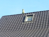 Dachschmuck Eule